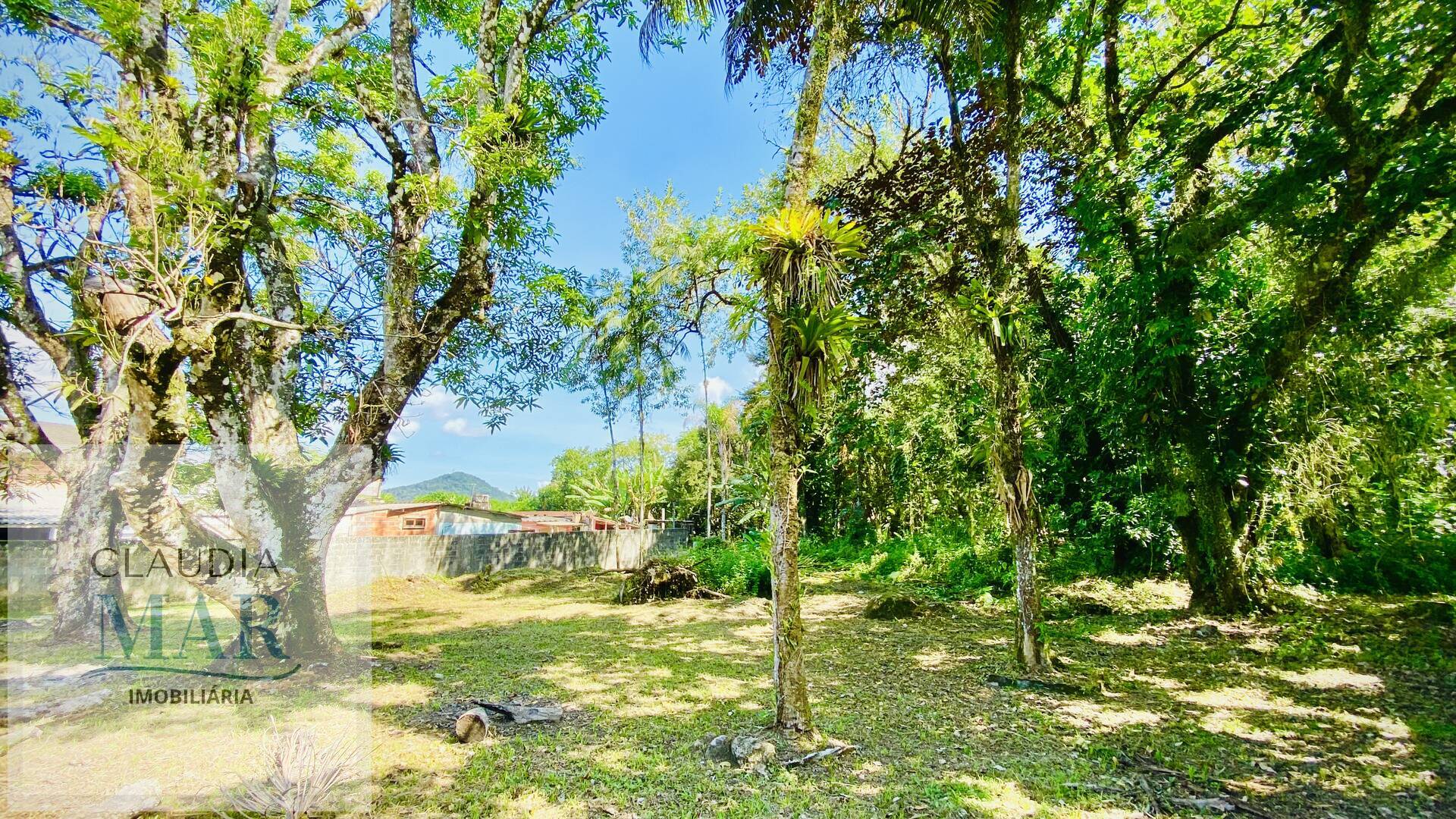 Casa à venda com 3 quartos, 200m² - Foto 6